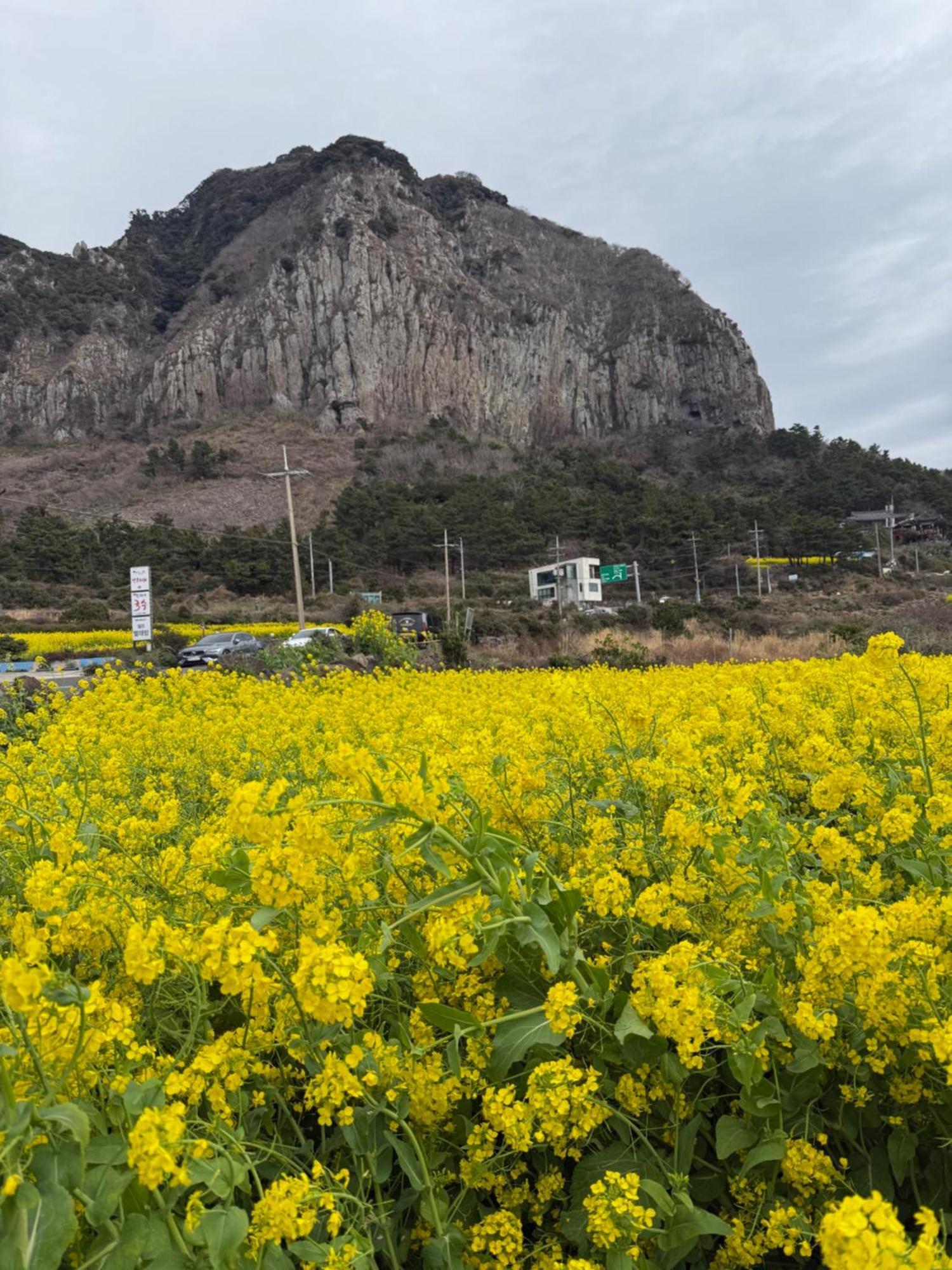 Jeju The Ocean Hill Pension Szogüpho Kültér fotó